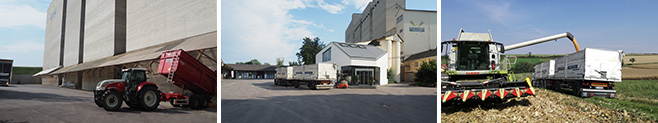 Agricultural Products