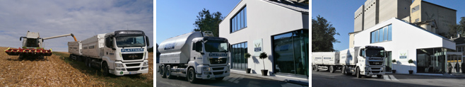 Transporte